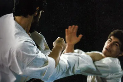 MAWASHI GERI AO ESTILO ADEMIR DA COSTA, CRIADOR DO "BRAZILIAN KICK"