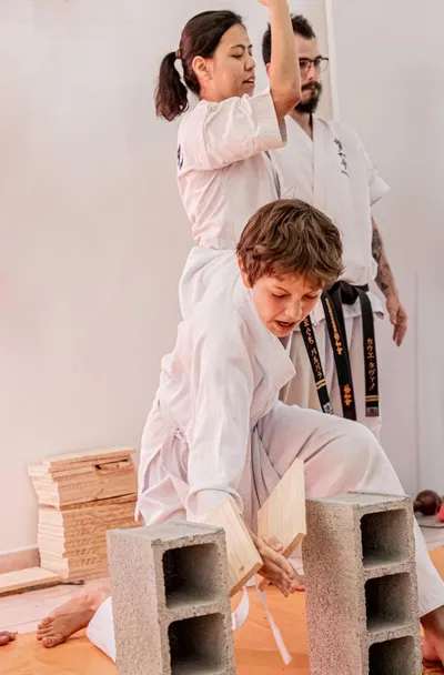 Seiwakai no Brasil realiza curso de Tameshiwari